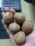 新邊界（new boundaries）薄皮核桃1500g 新疆特產(chǎn)阿克蘇核桃堅果炒貨手剝原味量販 曬單實拍圖