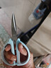 藍色不銹鋼家用剪刀辦公剪裁縫剪多用途裁布剪 家用裁縫剪刀 中號1件 曬單實(shí)拍圖