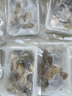 一蝦一世界鮮活現(xiàn)剝?nèi)ご筇柹柸?50g/盒 新鮮速凍牡蠣肉海蠣子火鍋燒烤 大號3斤裝 250g*6盒【固形物80%】 曬單實(shí)拍圖