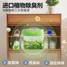 網(wǎng)易嚴(yán)選鞋柜除味盒 香膏空氣清洗劑鞋子除臭神器除臭殺菌 青青茶園120g 曬單實(shí)拍圖