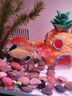畫(huà)法幾何 智能魚(yú)缸接入米家生態(tài) 智能魚(yú)缸+專(zhuān)用增氧泵套裝 曬單實(shí)拍圖