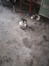 柯蒂仕電熱水壺自動斷電保溫大容量電水壺家用燒水壺加厚不銹鋼鳴笛燒水壺熱水壺電茶壺 5L 加厚款【自動斷電保溫】 標配電源線【國標三芯銅】 曬單實拍圖