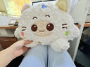廣印通充電熱水袋充電式雙插拆卸暖水袋暖手寶暖寶寶電熱寶可拆洗冬季 貓咪白色【可拆卸毛套】 曬單實(shí)拍圖