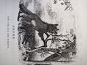 名著(zhù)名譯精裝：伊索寓言 曬單實(shí)拍圖