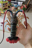 瑪奇樂（MECHILE）仿真海洋生物玩具鯊魚海豚?？Ｐ呛ｑR水母皮皮蝦面包蟹動(dòng)物模型 龍蝦 曬單實(shí)拍圖
