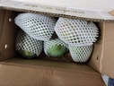 京覓四川攀枝花凱特芒 芒果凈重4.5-5斤單果400g起 新鮮水果源頭直發(fā) 曬單實(shí)拍圖