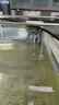 京業(yè)魚缸過濾器JY-W155款3.8W壁掛式過濾泵除油膜瀑布過濾器流量可調(diào) 曬單實拍圖