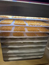 樂創(chuàng)（lecon）(lecon)干果機(jī)商用家用水果零食烘干機(jī)10層寵物狗狗凍干食品風(fēng)干機(jī)辣椒藥材肉干蔬菜全自動(dòng)風(fēng)干機(jī) 【最快次日達(dá)】10層帶燈-烘干約15~22斤 曬單實(shí)拍圖