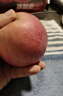 正宗煙臺(tái)蘋果棲霞紅富士脆甜新鮮水果整箱生鮮蘋果水果 凈重4.5斤80mm 曬單實(shí)拍圖