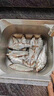 漁上岸釣魚(yú)小藥野釣黑坑通殺鯽鯉草青魚(yú)羅非誘食餌料開(kāi)口劑添加劑 一瓶裝【多買(mǎi)多送】 曬單實(shí)拍圖