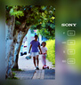 索尼（SONY）E 55-210mm APS-C畫(huà)幅遠攝大變焦微單相機鏡頭 銀色E卡口 曬單實(shí)拍圖