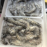 京東超市 海外直采活凍黑虎蝦（中號)40-50規格2斤 火鍋 新老包裝交替發(fā)貨 曬單實(shí)拍圖