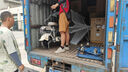 飛鴿E75智能電動(dòng)自行車【國家補(bǔ)貼】45公里長續(xù)航電動(dòng)車鉛酸電池48V12Ah電瓶車新國標(biāo)上班代步漫步白 曬單實(shí)拍圖