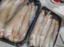 森農樂(lè )豆腐魚(yú)舟山特產(chǎn)龍頭魚(yú)鮮活冷凍海鮮水產(chǎn)九肚魚(yú)生鮮海魚(yú)水潺3斤裝 凈重1500g【鮮肥嫩滑】 曬單實(shí)拍圖