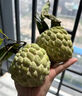 儲(chǔ)褚正宗海南大目釋迦果 番荔枝佛頭果 新鮮水果中秋禮盒裝順豐包郵 3斤大果禮盒裝【單果4-5兩】 曬單實(shí)拍圖