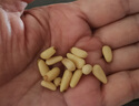 京東京造有機(jī)東北手剝紅松子850g獨(dú)立小包量販裝長(zhǎng)白山松子大顆粒每日?qǐng)?jiān)果 曬單實(shí)拍圖