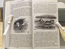 愛(ài)麗絲夢(mèng)游仙境與鏡中奇遇記 英文原版 Alice's Adventures in Wonderland 愛(ài)麗絲夢(mèng)游奇境記 電影原著(zhù) 搭小王子 彼得潘 綠野仙蹤 曬單實(shí)拍圖