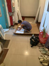 藍楓葉輕奢巖板餐邊柜吧臺一體可伸縮小戶型客廳家用巖板隔斷吧臺桌 1米單柜+1.2米巖板 面吧臺 曬單實拍圖