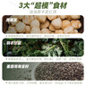 九陽(yáng)豆漿羽衣甘藍奇亞籽豆漿粉7條*20g減脂豆漿粉膳食纖維早餐代餐 曬單實(shí)拍圖