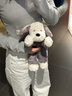 jELLYCAT毛絨玩具牧羊犬唐布利趴趴小狗玩偶公仔玩具小狗送女朋友520禮物 物 唐布利 曬單實(shí)拍圖