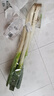 【農戶(hù)直通車(chē)】大蔥500g  曬單實(shí)拍圖