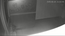 地依貓粘鼠板超強(qiáng)威力大號(hào)加厚滅鼠商家用黏鼠貼抓捉捕老鼠粘鼠板10片 曬單實(shí)拍圖