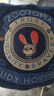 名創(chuàng  )優(yōu)品（MINISO）迪士尼瘋狂動(dòng)物城系列朱迪警官抱枕辦公室靠枕午休枕客廳擺件 曬單實(shí)拍圖