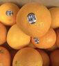 新奇士（Sunkist）橙子美國3107進(jìn)口黑標橙子當季臍橙大果禮盒裝 禮盒裝 4500g【單果200g+】 曬單實(shí)拍圖