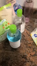 貝德瑪（BIODERMA）【情人節(jié)禮物】 卸妝水綠水凈妍潔膚液 溫和凈卸去油500ml油痘肌 曬單實(shí)拍圖