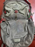 GREGORY格里高利 NANO蜂鳥 旅行男女戶外徒步背包登山包通勤雙肩包20L 20L-火焰綠 曬單實拍圖