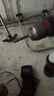 綠林（GREENER）十字批頭強磁鎢鋼電動(dòng)螺絲刀頭 【S5小頭】65mm（10支）  曬單實(shí)拍圖