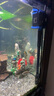 格池（GRECH）格池魚缸潛水泵CQJ-1200G款20W  凈水增氧過濾三合一過濾水泵 曬單實拍圖