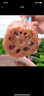 藕荷泥（OUHENI）正宗洪湖粉藕新鮮蓮藕湖北特產(chǎn)現(xiàn)挖九孔藕煲湯湖藕粉糯蓮藕蔬菜 洪湖粉藕3斤 曬單實拍圖