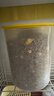 潔西 優(yōu)質(zhì)綜合兔糧 全階兔糧 寵物兔子飼料 幼兔成兔垂耳兔糧食2.5kg 曬單實(shí)拍圖