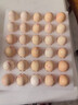 無(wú)抗鮮雞蛋 谷物喂養鮮雞蛋 單枚50g-60g 早餐食材 蛋香味十足 30枚裝 曬單實(shí)拍圖