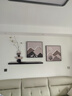 見(jiàn)造新款背有靠山客廳裝飾畫(huà)高檔墻壁畫(huà)現代簡(jiǎn)約高級感沙發(fā)背景墻掛畫(huà) 背有靠山-A款 95*35（uv精雕）/40*40/40*40cm 黑色鋁合金框 晶瓷工藝+UV精雕+仿真綠植 曬單實(shí)拍圖