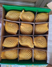 佳沛（zespri）綠奇異果 優(yōu)選大果12粒單果約113-135g  水果禮盒 獼猴桃 曬單實(shí)拍圖