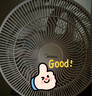 美的（Midea）【幸運(yùn)草安睡風(fēng)扇SE】直流變頻輕音家用立式遙控電風(fēng)扇柔風(fēng)落地扇臺式桌面大風(fēng)量一級能效輕羽扇 曬單實(shí)拍圖