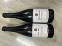 禛富法國尼姆原瓶進口紅酒AOP級干紅葡萄酒紅酒13.5度750ml 2支裝 曬單實拍圖