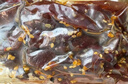 胖東來(lái)【胖東來(lái)代購】DL豆瓣甜腸熟食手撕牛肉干真空包裝加冰袋網(wǎng)紅爆款 DL香辣350g(價(jià)簽69.6元不足退差價(jià)) 曬單實(shí)拍圖