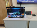 米家小米智能魚缸 一體整機(jī)免裝語音遙控半年免換水APP定時(shí)喂食水族箱 米家智能魚缸 曬單實(shí)拍圖
