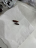 美玏三蒸三曬紅棗黃芪蒸棗750g獨立包裝去皮去核即食補氣血養體零食 曬單實(shí)拍圖