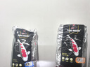 統一魚(yú)食 錦鯉魚(yú)飼料 增體魚(yú)糧增色不渾水錦鯉魚(yú)糧 育成色揚胚芽 10kg【育成】L大粒/7.5mm 曬單實(shí)拍圖