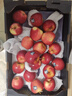 京鮮生 Mr Apple新西蘭丹爍蘋(píng)果20粒巨無(wú)霸禮盒裝單果180-220g 源頭直發(fā) 曬單實(shí)拍圖