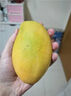 京覓四川凱特芒果新鮮水果凈重8斤單果410g+源頭直發(fā)包郵 曬單實(shí)拍圖