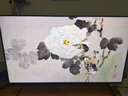 TCL電視 55T7L 55英寸 QD-Mini LED 華星高階HVA屏 萬(wàn)象分區 絢彩XDR2200nits 超薄 國家補貼 曬單實(shí)拍圖