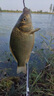 趣玲瓏雞心型掛環(huán)鉛墜扁墜抗水流魚(yú)墜海竿遠(yuǎn)投鉛墜漁具配件海桿傳 雞心掛環(huán)10克（10個(gè)） 曬單實(shí)拍圖