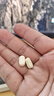 Swisse斯維詩(shī) 2代護肝片 膽堿奶薊草片西藍花籽姜黃 養肝去油120片/瓶 曬單實(shí)拍圖