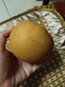 京鮮生山東煙臺萊陽(yáng)秋月梨凈重3斤單果250g+ 新鮮水果 源頭直發(fā)包郵 曬單實(shí)拍圖