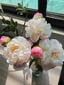 芍藥牡丹仿真花束2頭高檔餐桌家居裝飾花藝擺件攝影道具高級感 白色牡丹芍藥~可水洗 3支 曬單實(shí)拍圖